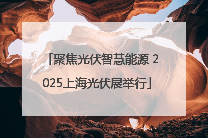 聚焦光伏智慧能源 2025上海光伏展举行